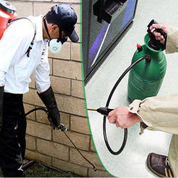 Effective Pest Control: Say Goodbye To Pesky Pests Today