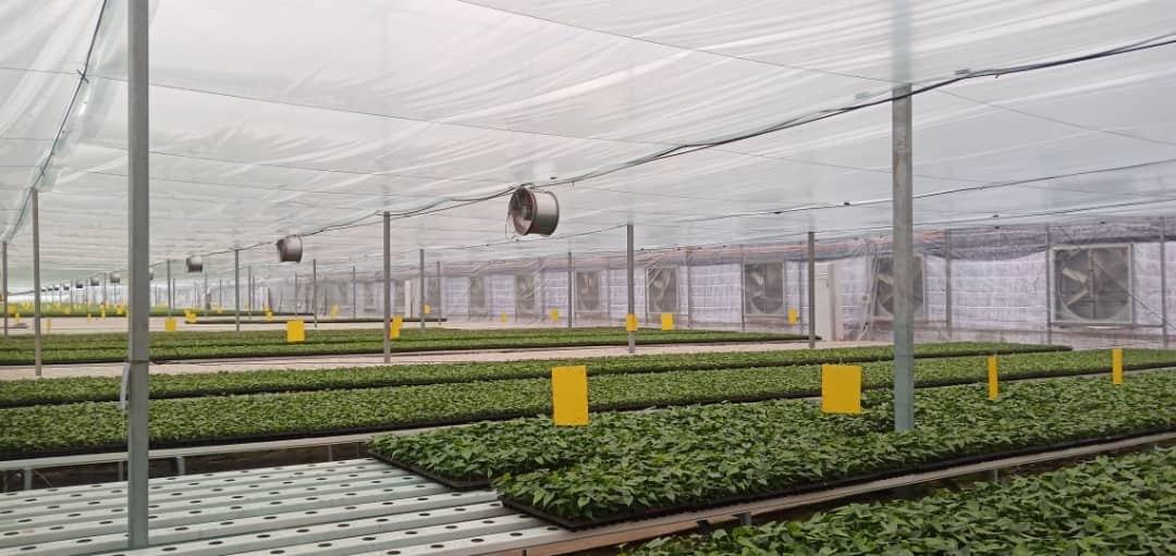 Discover The Best Hydroponic Fans & Accessories For Your Garden!