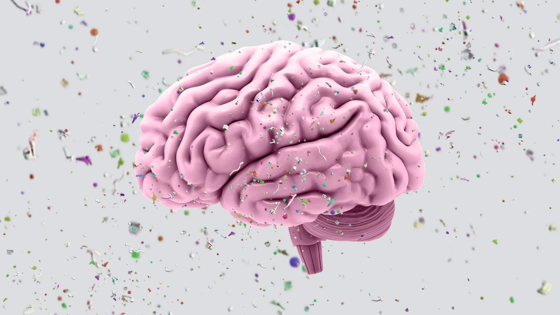 How To Use Nootropic Supplements